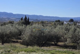 Benigànim 8663&nbsp;m²