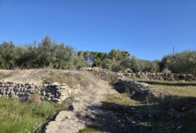Benigànim 8663&nbsp;m²