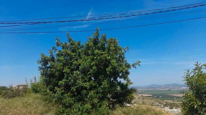 València - Chiva - 545m2
