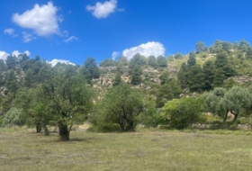 Valderrobres 59666&nbsp;m²