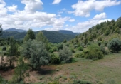 Xalet independent amb terreny en venda a la España, Vall-de-roures, ref.: TR408025 foto