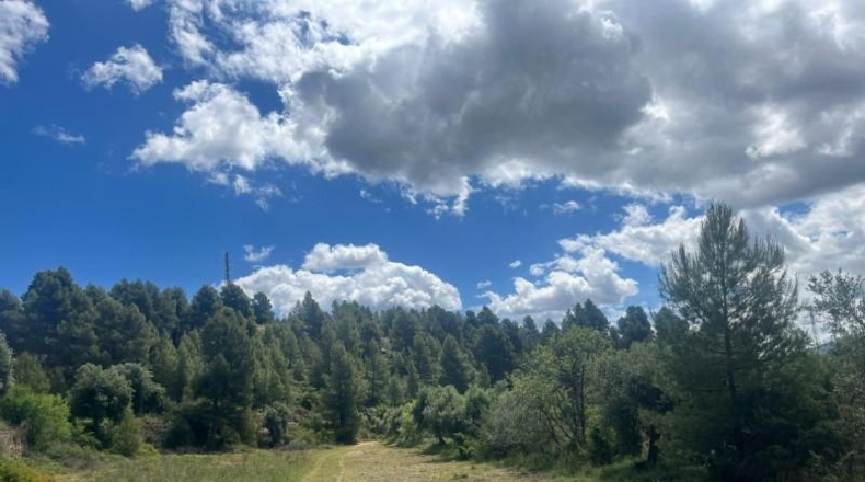 Teruel - Valderrobres - 59666m2