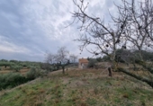 Chalet independiente con terreno en venta en la España, el Perelló, ref: TR296449 foto