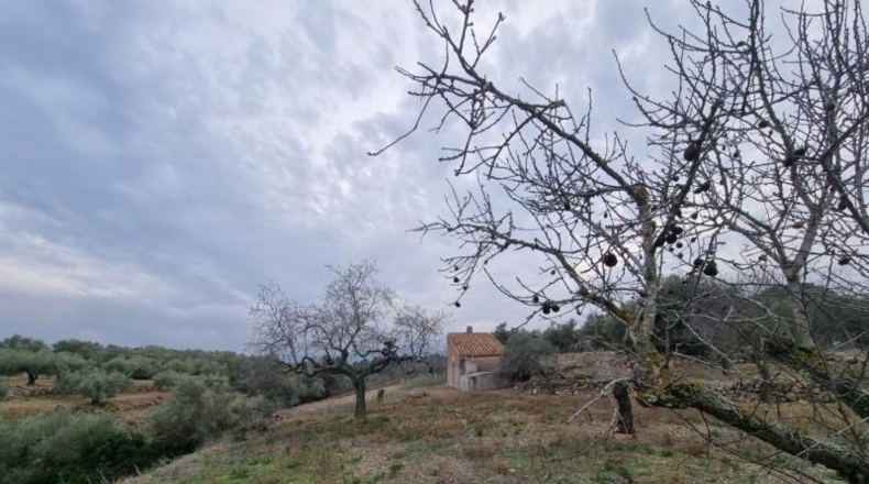 Tarragona - el Perelló - 10454m2