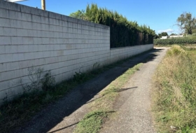 Foto 13