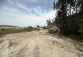 Casa de campo con terreno en venta en la España, Cieza, ref: TR295860 foto