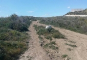 Land suitable for development for sale on España, Algeciras, ref: TR409472 photo