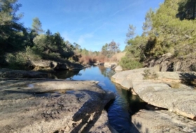 Foto 15