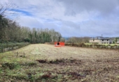 Terreno no urbanizable en venta en la España, Lugo, ref: TR394789 foto