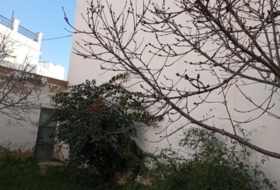 Foto 9