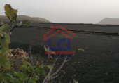 Terreno no urbanizable en venta en la España, Yaiza, ref: TR405567 foto