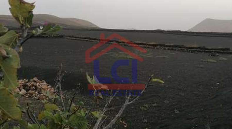 Las Palmas - Yaiza - 3953m2