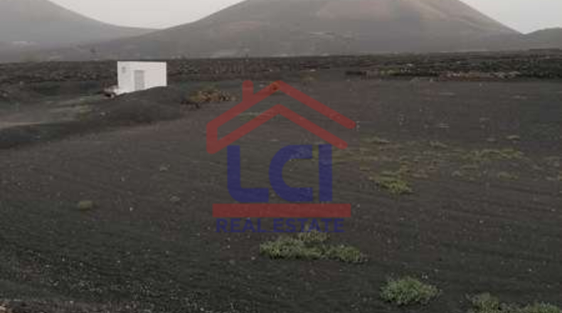 Las Palmas - Yaiza - 3953m2