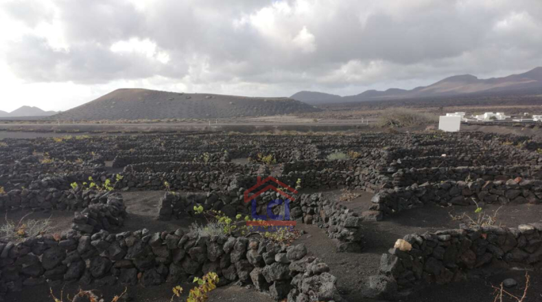 Las Palmas - Yaiza - 3953m2