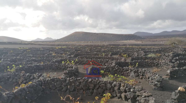 Las Palmas - Yaiza - 3953m2