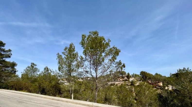 Barcelona - Olivella - 972m2
