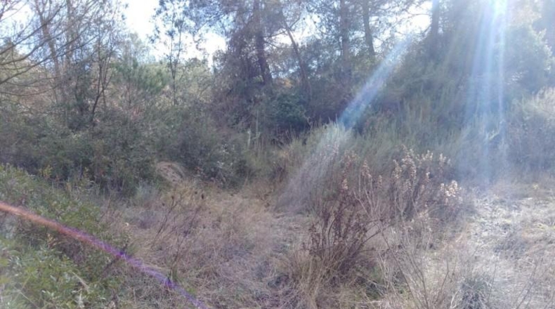 Valencia - Rocafort - 826m2