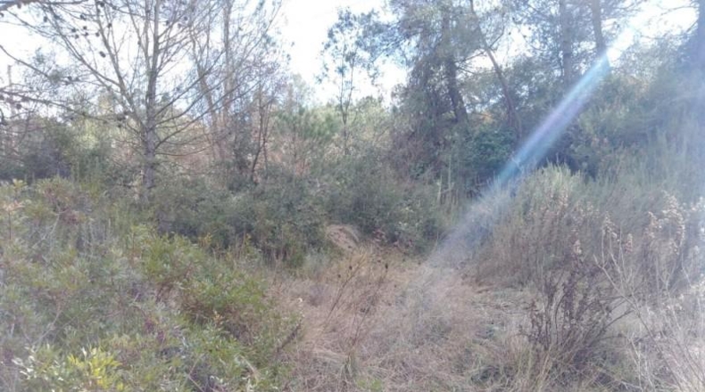 Valencia - Rocafort - 826m2