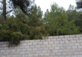 Urban land for sale on España, Rocafort, ref: TR307137 photo