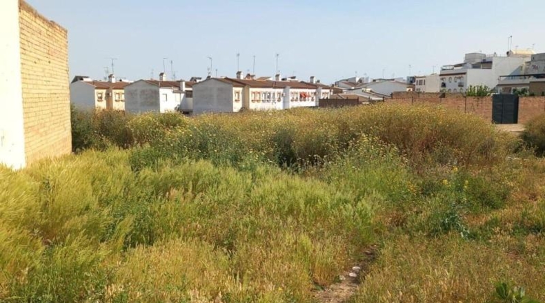 Huelva - Bollullos Par del Condado - 318m2