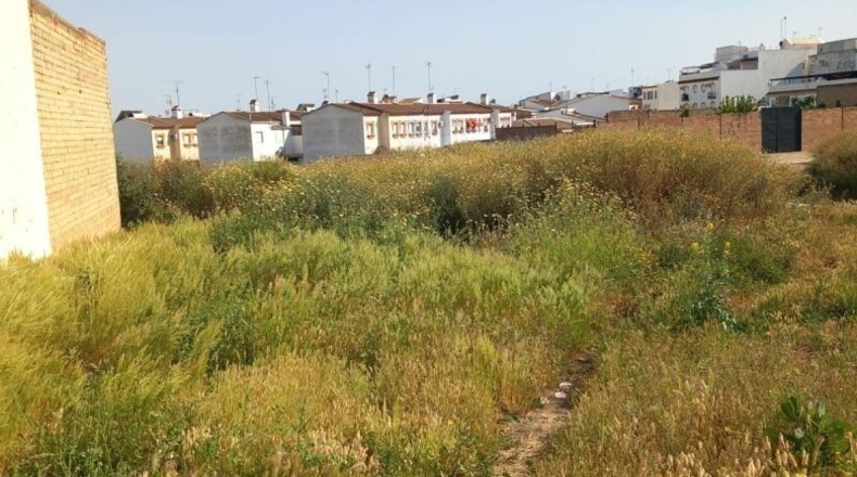 Huelva - Bollullos Par del Condado - 318m2