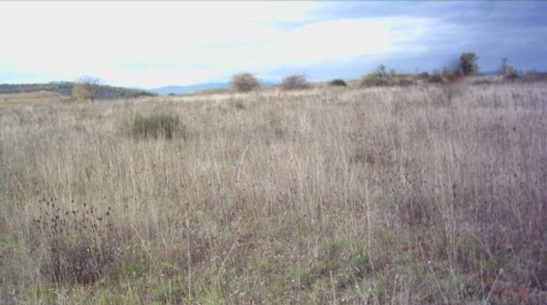 Leon - Ponferrada - 10000m2