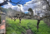 Suelo urbano en venta en la España, el Bruc, ref: TR241447 foto