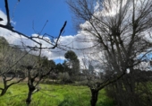 Suelo urbano en venta en la España, el Bruc, ref: TR241447 foto