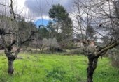 Suelo urbano en venta en la España, el Bruc, ref: TR241447 foto