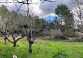 Suelo urbano en venta en la España, el Bruc, ref: TR241447 foto