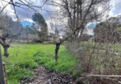 Suelo urbano en venta en la España, el Bruc, ref: TR241447 foto