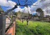 Suelo urbano en venta en la España, el Bruc, ref: TR241447 foto