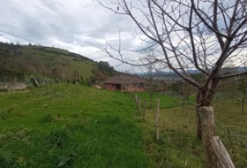 Sariegumuertu 1097&nbsp;m²