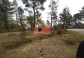 Terreno no urbanizable en venta en la España, A Fonsagrada, ref: TR397867 foto