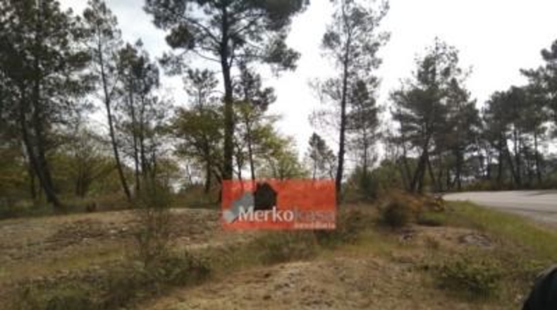 Lugo - Fonsagrada - 6500m2