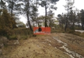 Terreno no urbanizable en venta en la España, A Fonsagrada, ref: TR397867 foto