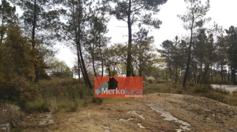 Lugo - Fonsagrada - 6500m2