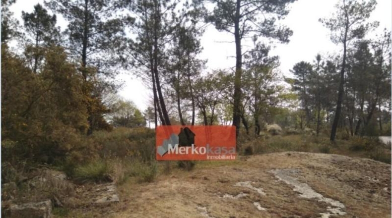 Lugo - Fonsagrada - 6500m2
