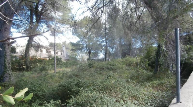València - Alcira - 1750m2