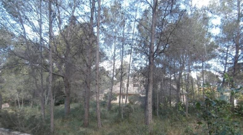 València - Alcira - 1750m2