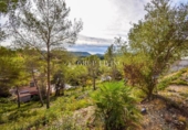 Suelo urbano en venta en la España, Olivella, ref: TR119760 foto