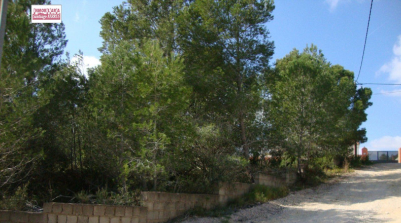 València - Catadau - 848m2