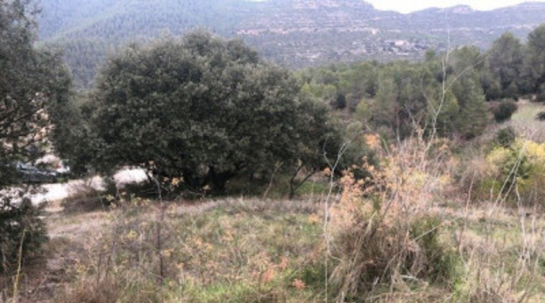 Valencia - Rocafort - 419m2