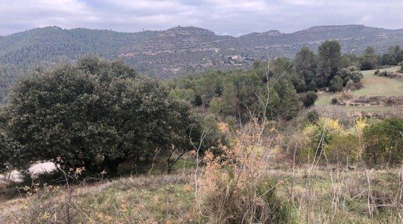 Valencia - Rocafort - 419m2