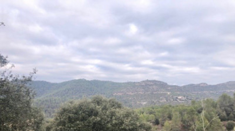 Valencia - Rocafort - 419m2