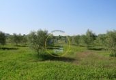 Terreno no urbanizable en venta en la España, Agullent, ref: TR117807 foto