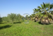 Terreno no urbanizable en venta en la España, Agullent, ref: TR117807 foto