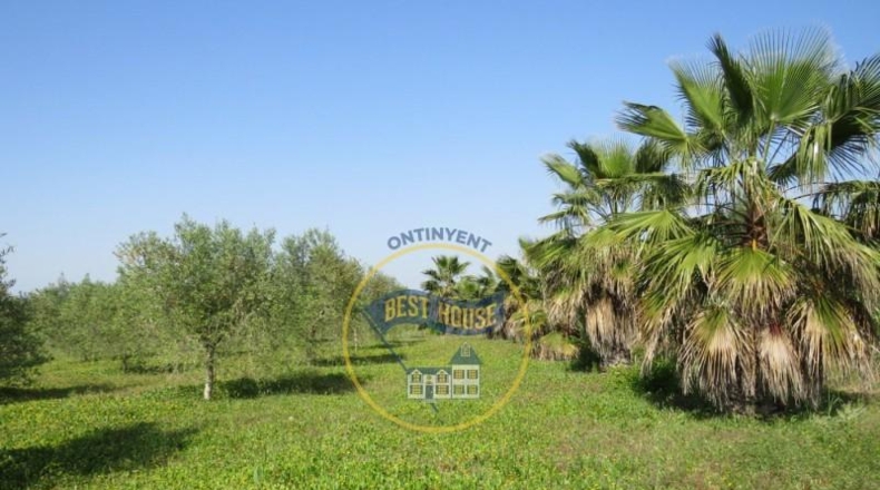 València - Agullent - 21360m2