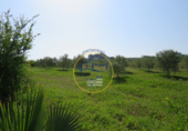 Terreno no urbanizable en venta en la España, Agullent, ref: TR117807 foto