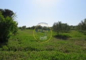 Terreno no urbanizable en venta en la España, Agullent, ref: TR117807 foto